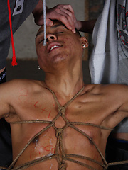Bound, spat on and forced - Gay boys pics at Twinkest.com