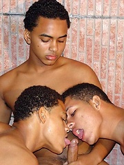 Three hot young Latin cholos go gay - Gay boys pics at Twinkest.com