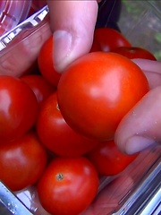 Emo boy ass tasting tomatoes - Gay boys pics at Twinkest.com