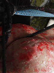 Plaything Aaron Aurora! - Gay boys pics at Twinkest.com